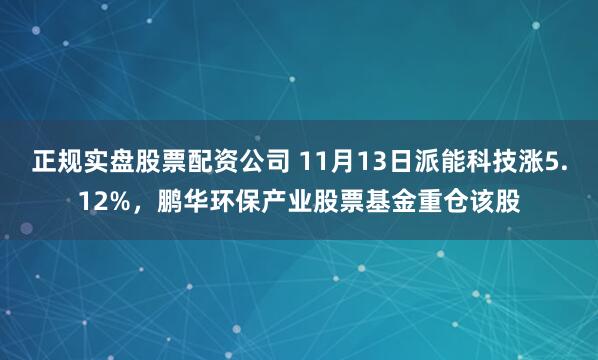 正规实盘股票配资公司 11月13日派能科技涨5.12%，鹏华环保产业股票基金重仓该股