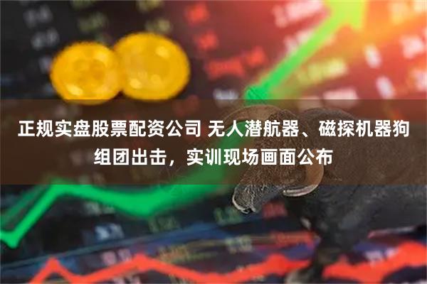 正规实盘股票配资公司 无人潜航器、磁探机器狗组团出击，实训现场画面公布