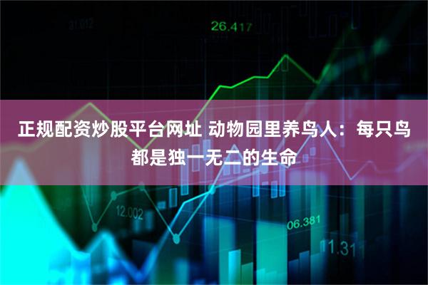 正规配资炒股平台网址 动物园里养鸟人：每只鸟都是独一无二的生命