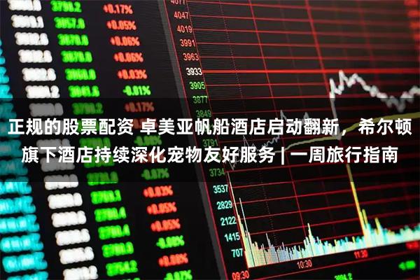 正规的股票配资 卓美亚帆船酒店启动翻新，希尔顿旗下酒店持续深化宠物友好服务 | 一周旅行指南