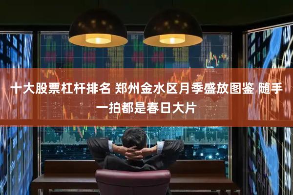 十大股票杠杆排名 郑州金水区月季盛放图鉴 随手一拍都是春日大片
