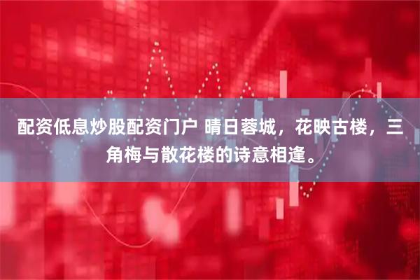 配资低息炒股配资门户 晴日蓉城,花映古楼,三角梅与散花楼的诗意相逢。